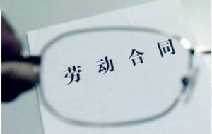 勞動(dòng)合同與組織機(jī)構(gòu)